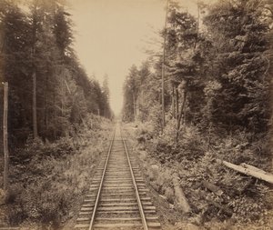 Hemlock-metsä tekijältä William H. Rau