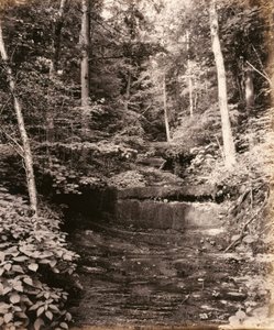 Owasco Lake, Cascade Glen, Lehigh Valley Railroad -rautatieyhtiölle tekijältä William H. Rau