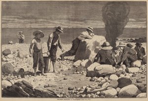 Merenpuoleiset luonnokset - Simpukkaleivous tekijältä William H. Redding after Winslow Homer