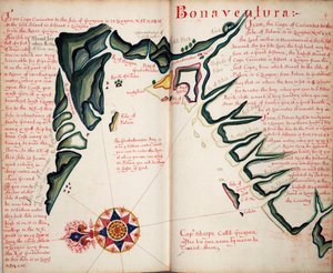 Bonaventure