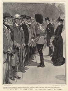 Royal Tour, Cornwallin herttua tarkastamassa veteraaneja Dunedinissa tekijältä William Hatherell