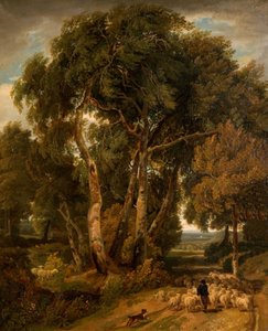 Ajaminen kotiin The Flock, 1806. tekijältä William Havell