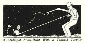 Keskiyön etananmetsästys koulutetun kilpikonnan kanssa (litho) tekijältä William Heath Robinson