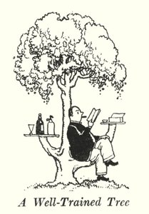 Hyvin koulutettu puu (litho) tekijältä William Heath Robinson