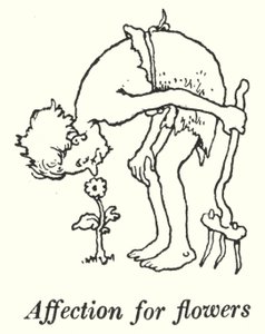 Kiintymys kukkiin (litho) tekijältä William Heath Robinson