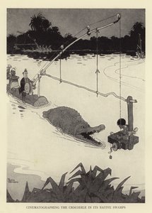 Kuvaamassa krokotiilia sen alkuperäisissä suoissa tekijältä William Heath Robinson