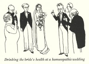 Morsiamen terveyden juominen homeopaattisissa häissä (litho) tekijältä William Heath Robinson