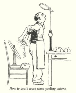 Kuinka välttää kyyneleitä kuorittaessa sipulia (litho) tekijältä William Heath Robinson