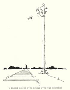 Kuvitus Railway Ribaldrylle, W Heath Robinson (litho) tekijältä William Heath Robinson