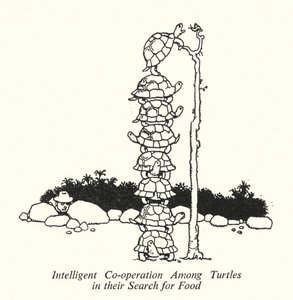 Älykäs yhteistyö kilpikonnien välillä heidän etsiessään ruokaa (litho) tekijältä William Heath Robinson