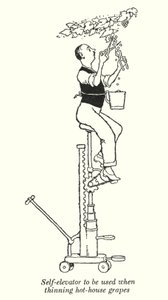 Itsehissi, jota käytetään kuuman talon rypäleiden harvennus (litho) tekijältä William Heath Robinson