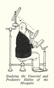 Hyttysten epäsosiaalisten ja saalistustavojen tutkiminen (litho) tekijältä William Heath Robinson