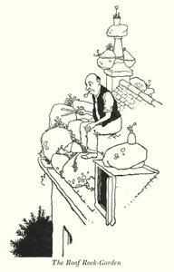 The Roof Rock-Garden (litho) tekijältä William Heath Robinson