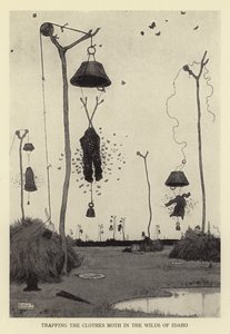 Vaatekuoriaisen pyydystäminen Idahon villeillä alueilla tekijältä William Heath Robinson
