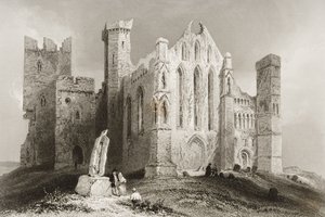 The Rock of Cashel, Tipperaryn kreivikunta, Irlanti, George Virtuen teoksesta "Scenery and Antiquities of Ireland", 1860-luku (kaiverrus). tekijältä William Henry Bartlett