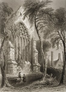 Youghal Abbey, Corkin kreivikunta, Irlanti, George Virtuen teoksesta "Scenery and Antiquities of Ireland", 1860-luku tekijältä William Henry Bartlett