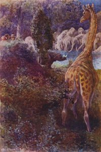R M Ballantynen kuvitus Gorilla Huntersille (värilitho)