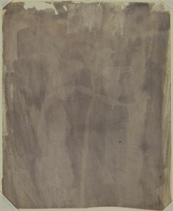 Kasvitieteellinen näyte tekijältä William Henry Fox Talbot