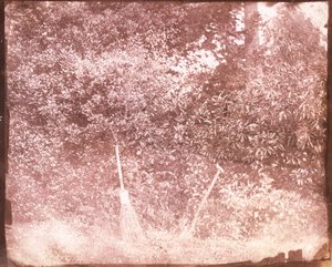 Luuta ja lapio, 1842 tekijältä William Henry Fox Talbot
