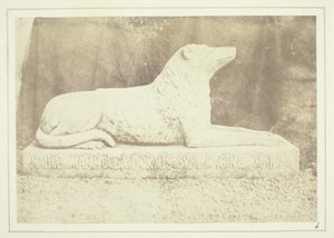 Sir W. Scottin lempikoiran Maidan kuva Abbotsfordin salin oven vieressä. tekijältä William Henry Fox Talbot