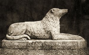 Maidan patsas, jonka kerrotaan olevan Sir Walter Scottin suosikkikoira. (seepiakuva) tekijältä William Henry Fox Talbot