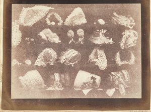 Kutomon ikkuna tekijältä William Henry Fox Talbot