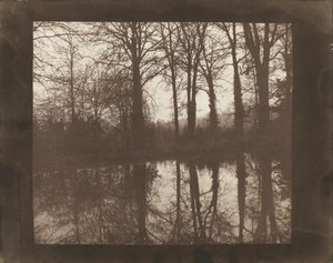 Puut ja heijastukset tekijältä William Henry Fox Talbot