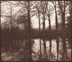 Talvipuut heijastuivat lammessa tekijältä William Henry Fox Talbot