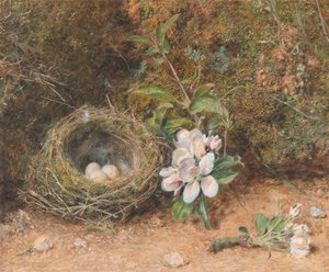 Linnunpesä omenakukkasuihkeilla tekijältä William Henry Hunt