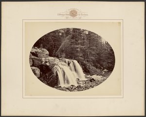[Gallatinin piirikunnan latvavedet, Yellowstonen kansallispuisto, Montana] tekijältä William Henry Jackson