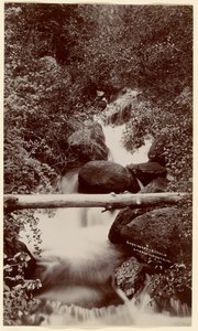 [Myrtle Falls, Green Mountain, Colorado] tekijältä William Henry Jackson