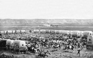 Härkiä kiinnitettynä katettujen vaunujen aitaukseen W. H. Jacksonin, Scotts Bluffin, Nebraskassa maalauksessa: n. 1875 tekijältä William Henry Jackson