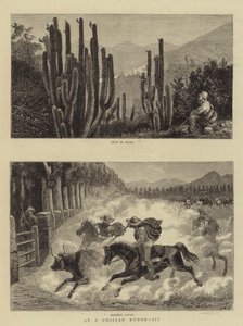 Chilen Rodeolla, III