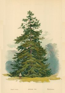 Kuusi kuusi tekijältä William Henry James Boot