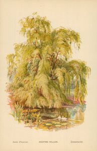 Itkuraita tekijältä William Henry James Boot