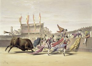Chulos leikkimässä härkää, 1865