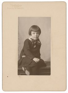 Natt Noyes Dodge, noin 1904 (kuva). tekijältä William Henry Partridge