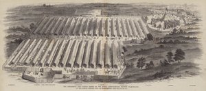 Englannin kuninkaallisen maatalousseuran työkone- ja karjanäyttelyt vuosikokouksessa, joka pidettiin Northamptonissa 20., 21. ja 22. heinäkuuta 1847