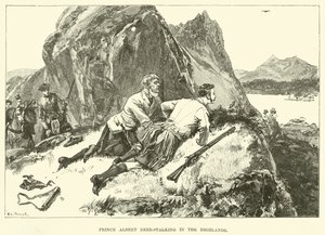 Prinssi Albert Deer-Stalking in the Highlands (kaiverrus)