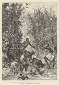 H. M. Stanleyn Emin Pashan avustusretkikunta etsii tarvikkeita Yambuyan leirille