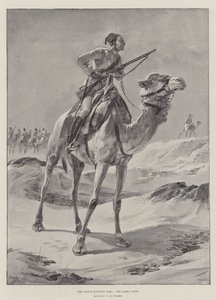Alkuperäinen Egyptin armeija, Camel Corps