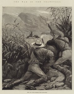 Sota Transvaalissa
