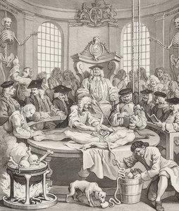 Palkkio julmuudesta. Lähde: The Four Stages of Cruelty / The four stages of cruelty. 1751 tekijältä William Hogarth