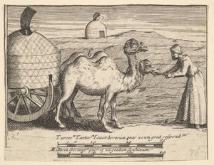 Kaksi dromedaaria Aubry de La Mottrayes matkustaa ympäri Eurooppaa, Aasiaa ja osaan ..., 1723-24. tekijältä William Hogarth