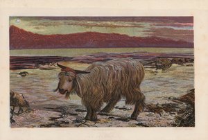 Syntipukki (värilitografia) tekijältä William Holman (after) Hunt