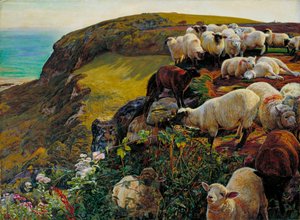 Englannin rannikot tekijältä William Holman Hunt