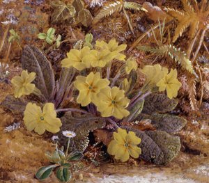 Primeveres. Peinture de William Hough (1819-1897) Collection privee. tekijältä William Hough