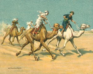 Carreres històriques i modernes, carreres de camells (cromolitho) finlandès