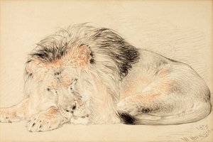 Leijona, 1879 (liitu paperille)