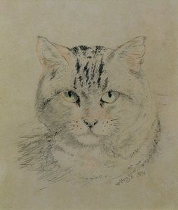 Tabby Cat, 1874 (kynä, värikynä ja puuhiili paperilla)